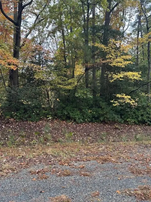 Lot 31 Francis Street, , VA 22520