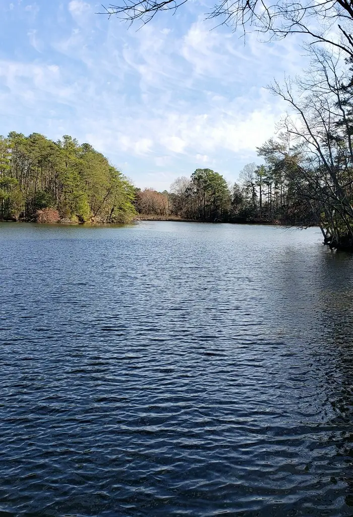 Lot 6 Sawmill Cove Drive, Heathsville, VA 22473 - Image #2