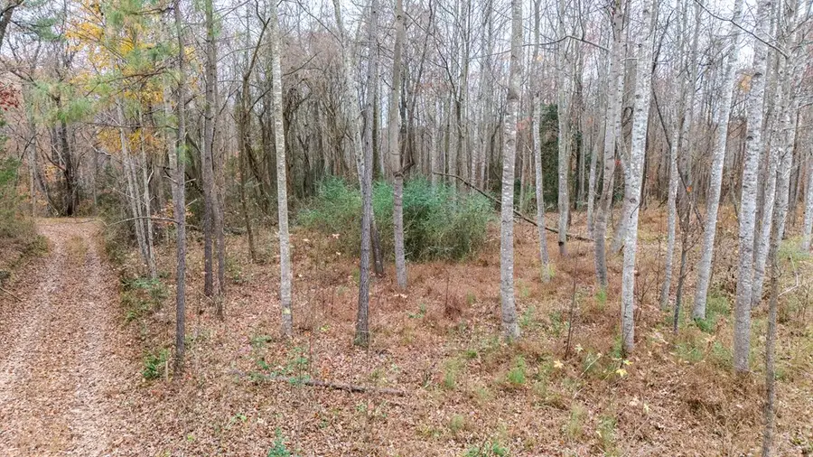 Lot 41 Oneal Rd, North, VA 22438 - Image #3