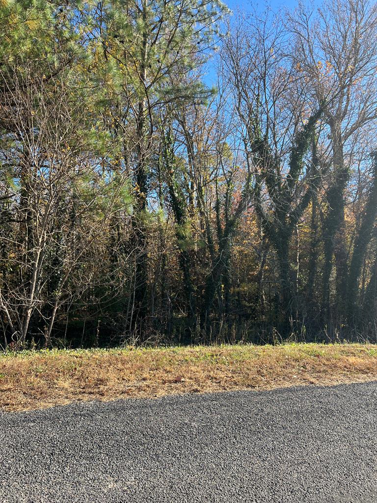 Lot 42C East Harbor Drive, Reedville, VA 22539 - Image #2