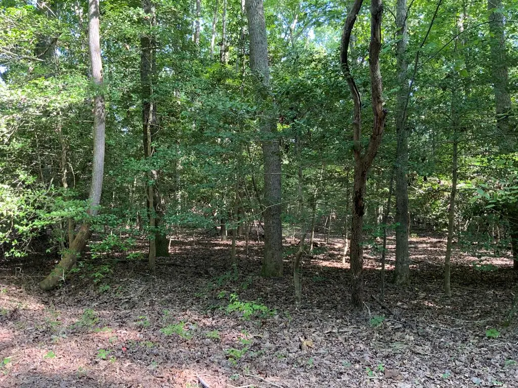 Lot 126 Lonesome Pines Trail, Lancaster, VA 22503 - Image #1