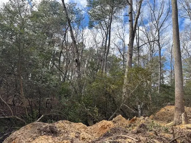 66&67 Conley Pond Road, Farnham, VA 22460 - #1