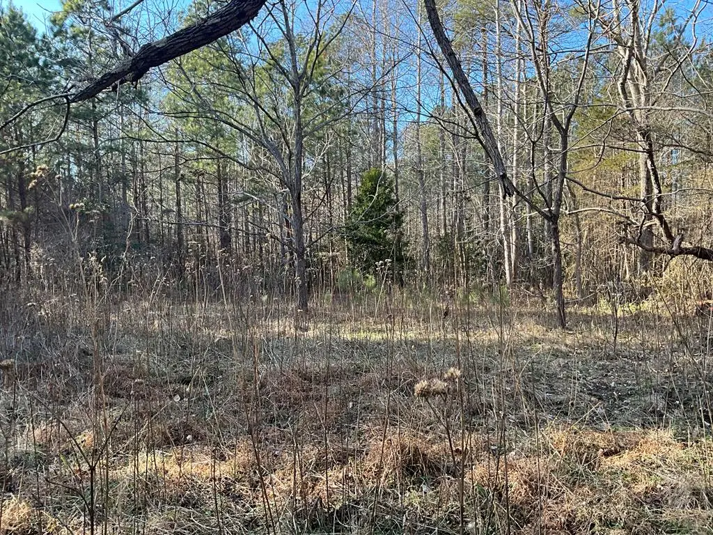 17.40 AC Salem Wood Rd, Gloucester, VA 23061 - Image #1