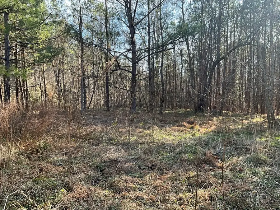 17.40 AC Salem Wood Rd, Gloucester, VA 23061 - Image #3