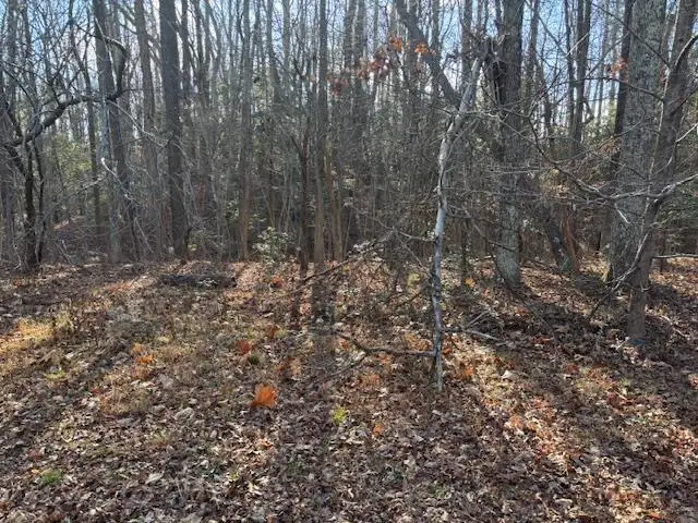 Lot 37 Kings Court, Montross, VA 22520 - Image #1