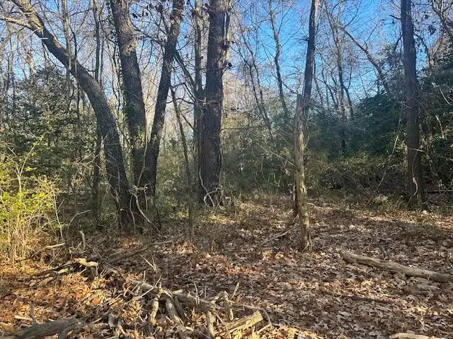 Lot 235 White Sand Drive, Heathsville, VA 22473 - Image #2