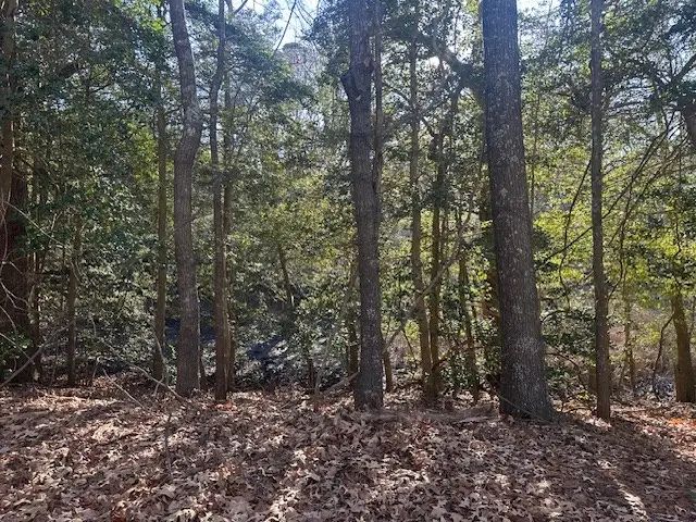 Lot 235 White Sand Drive, Heathsville, VA 22473 - Image #3