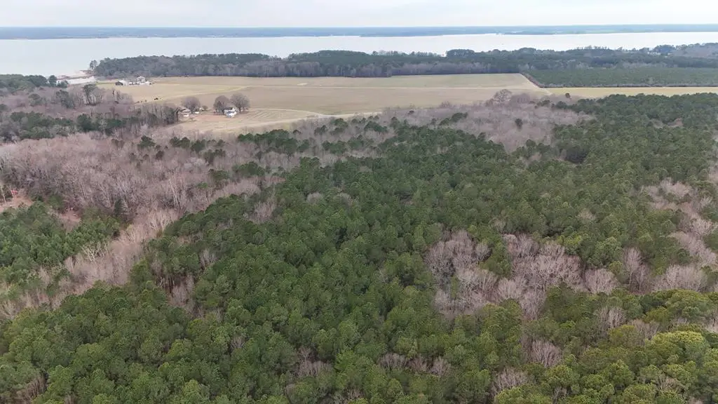 40.44 AC River Road, Lancaster, VA 22503 - Image #1