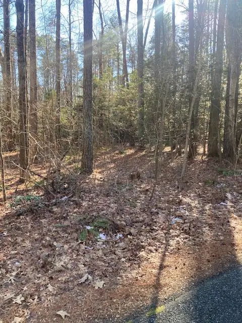 000 Knights Landing Drive, , VA 22473