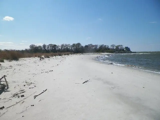 48 Cubitt Creek Rd, Burgess, VA 22432 - #2