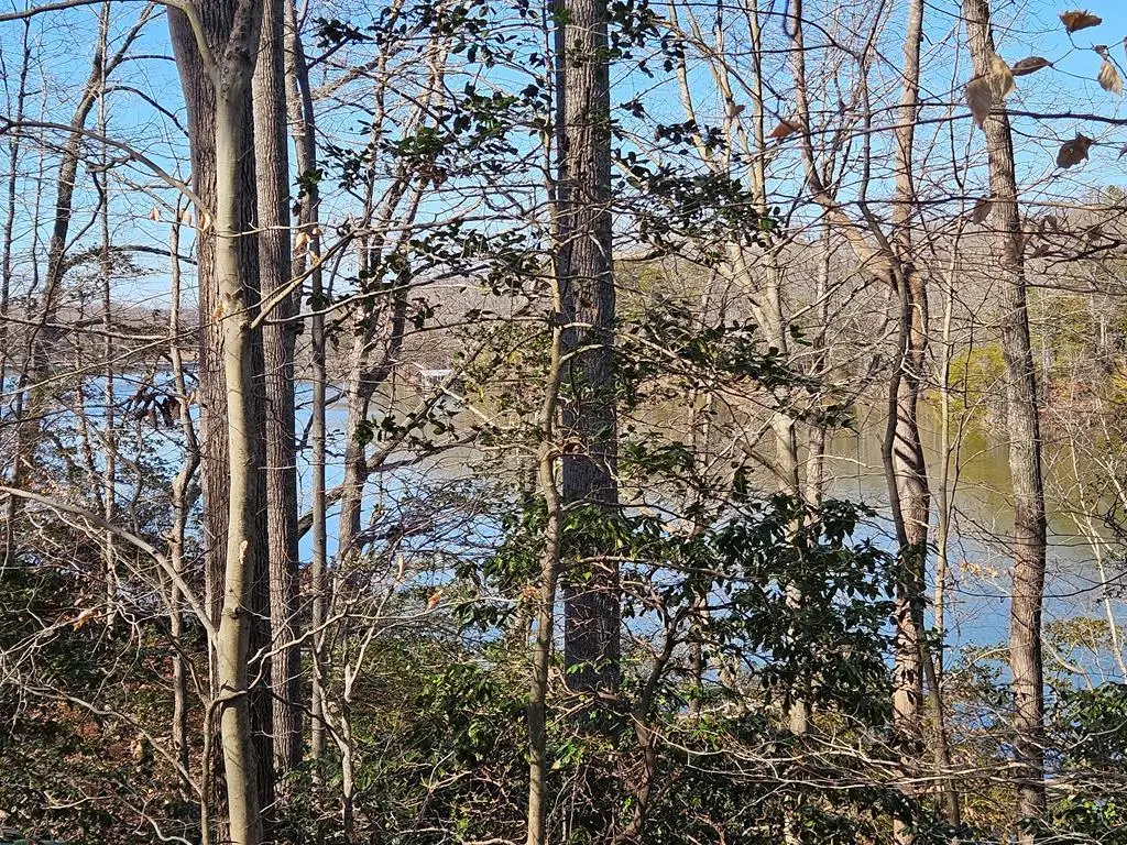 Lot 11 Greenpoint Landing Road, Montross, VA 22520 - #1