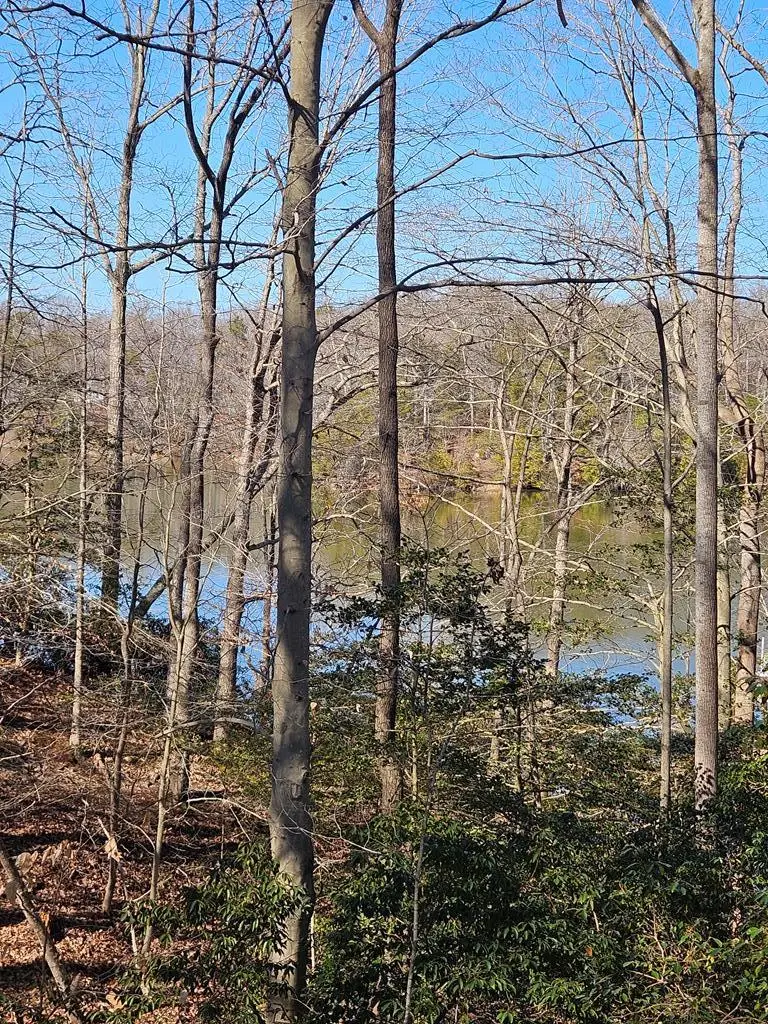 Lot 11 Greenpoint Landing Road, Montross, VA 22520 - #3
