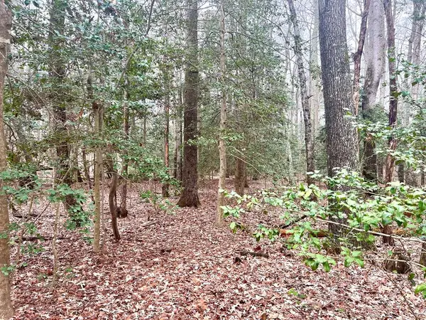 Lot 5 Meyers Drive, , VA 22503