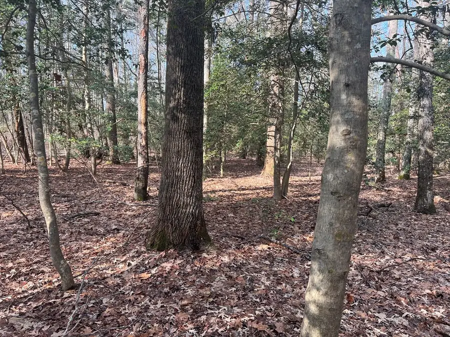 Lot 5 Meyers Drive, Lancaster, VA 22503 - #3