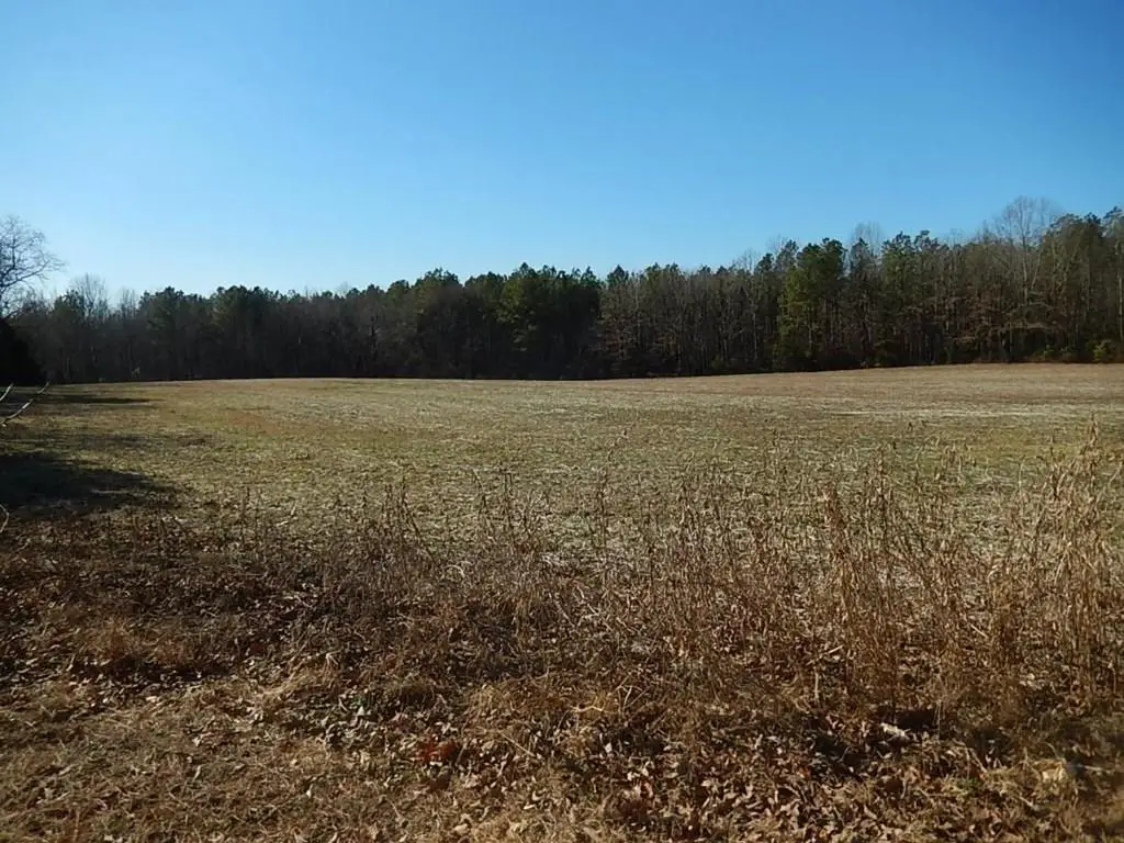 TM 76A16 Passing Road, Milford, VA 22514 - #1