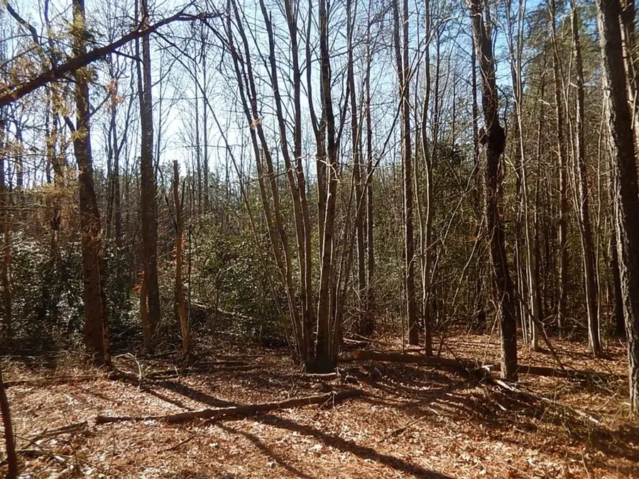 TM 76A16 Passing Road, Milford, VA 22514 - #3