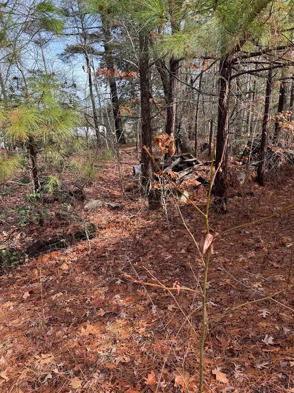 0 Long Point Road, , VA 22469