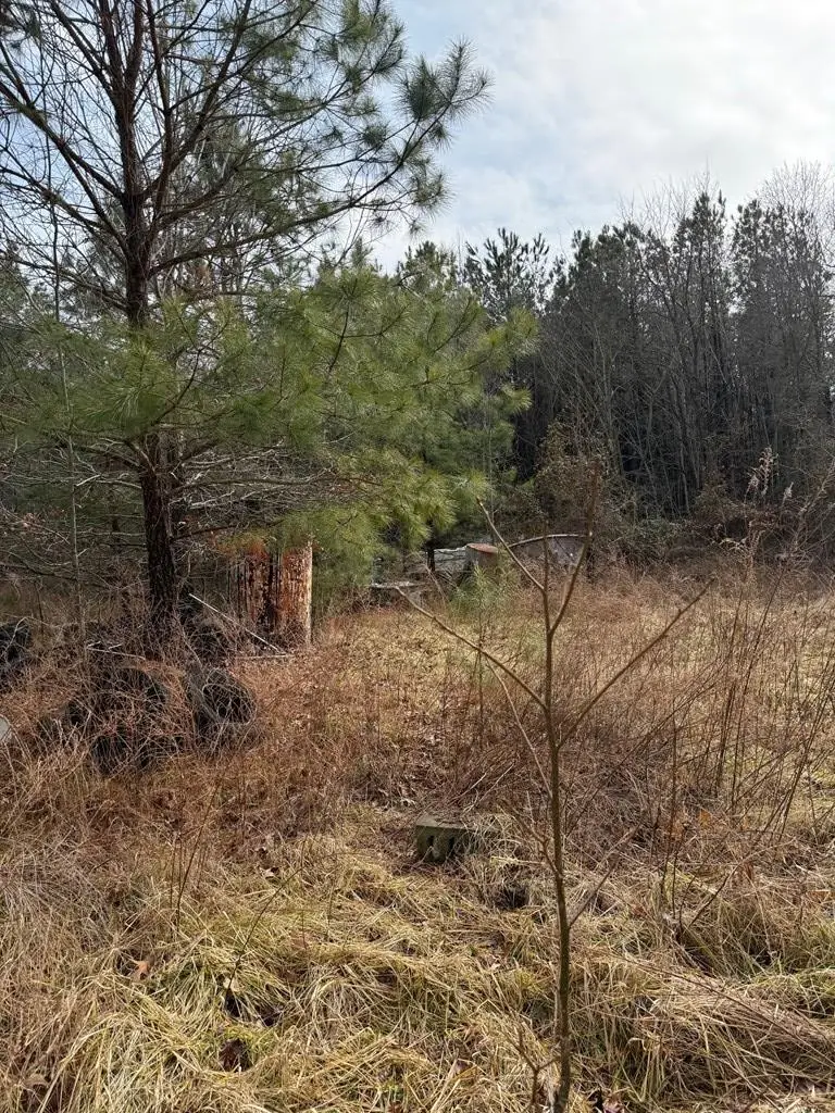 0 Long Point Road, Cople, VA 22469 - #3