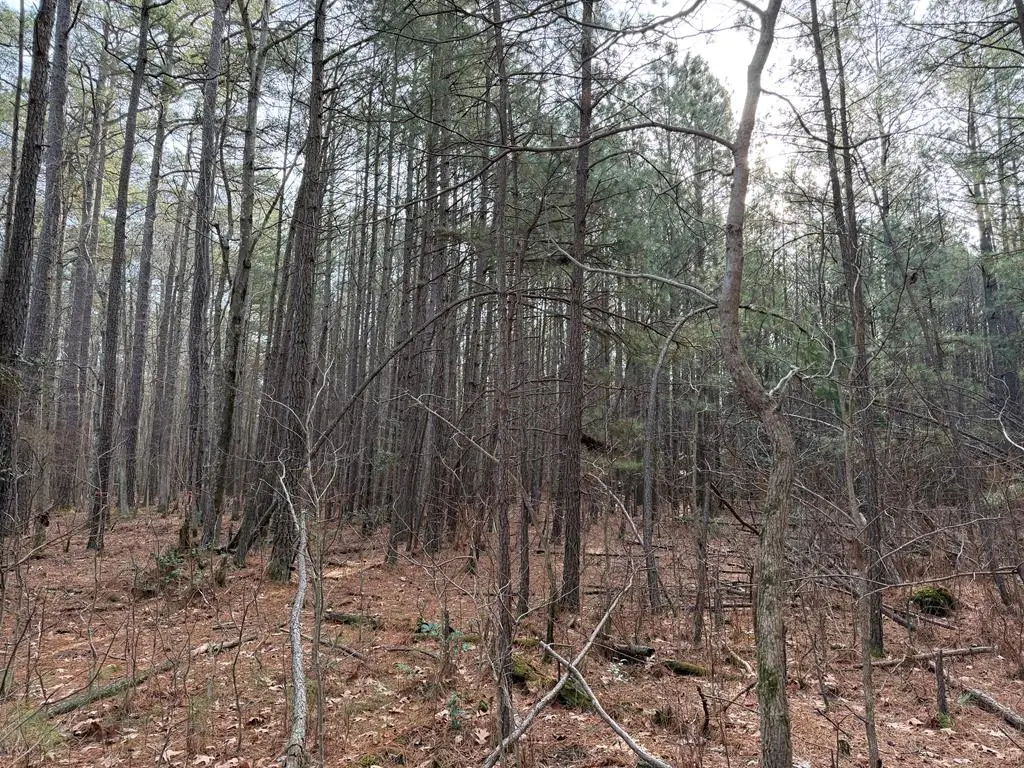 Address Withheld By Seller, Reedville, VA 22539 - #1