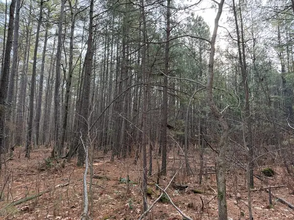 Address Withheld By Seller, , VA 22539