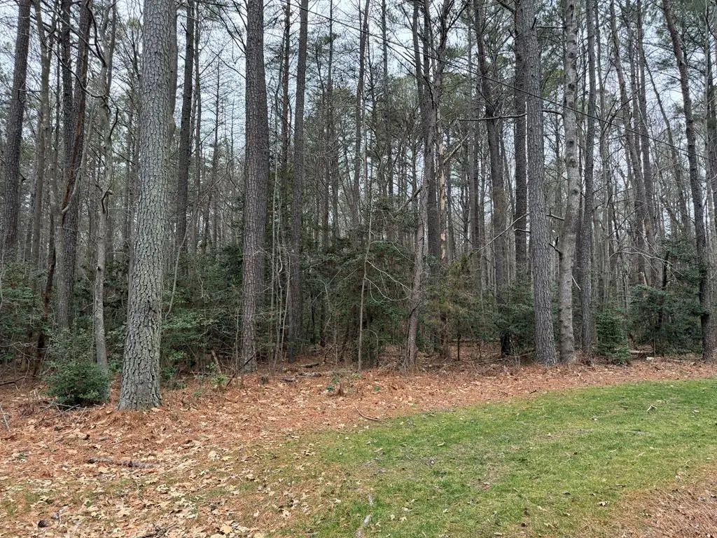 1000 Coopers Landing Drive, Burgess, VA 22432 - #1