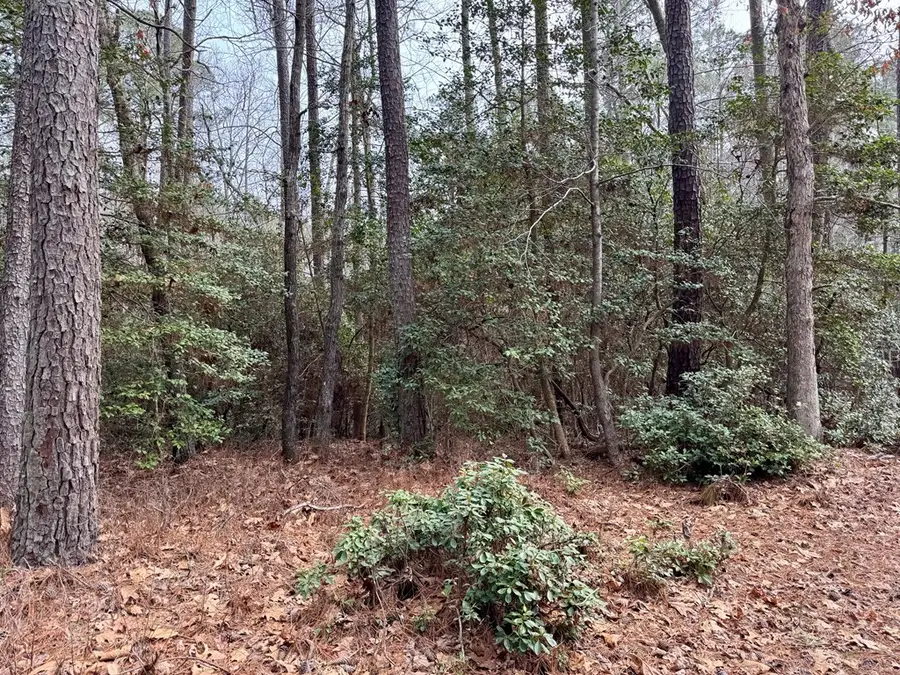 270&276 Ridge Road, Lancaster, VA 22503 - #2