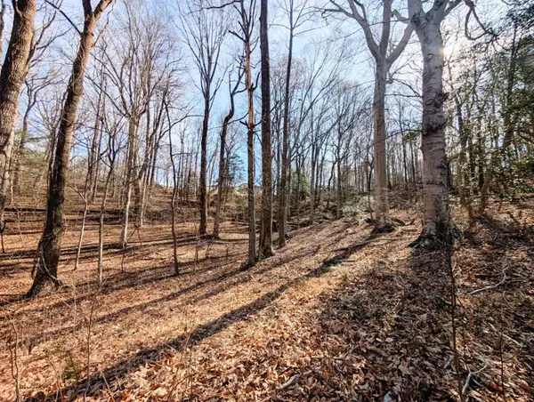 Lot 74 Plantation Drive, , VA 22580.