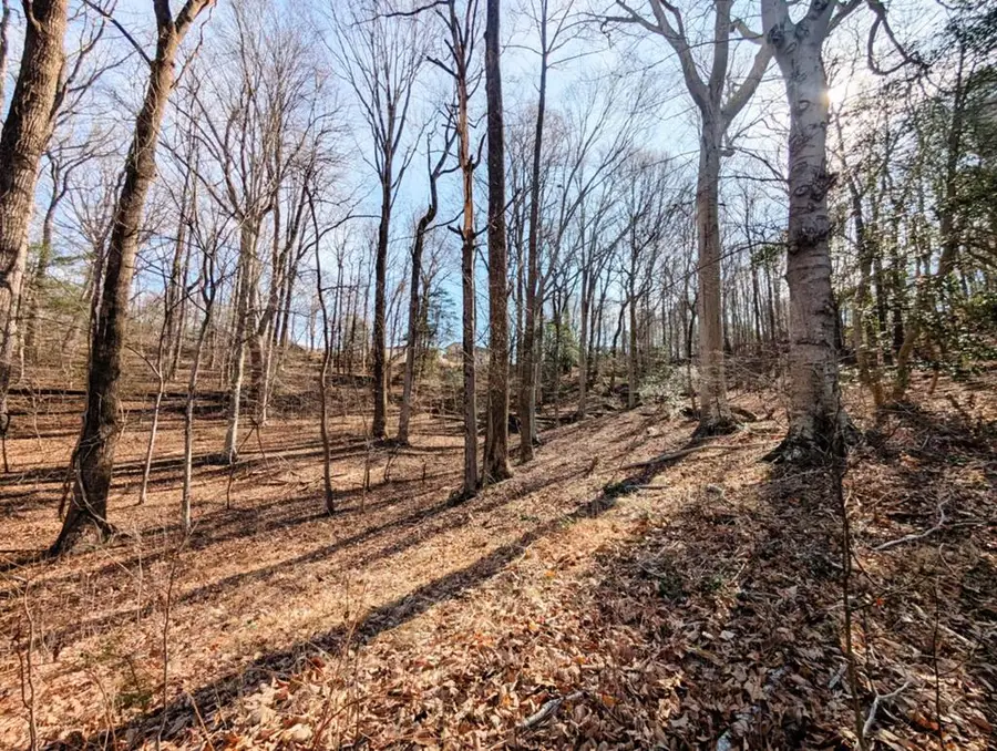 Lot 74 Plantation Drive, Montross, VA 22580. - #3