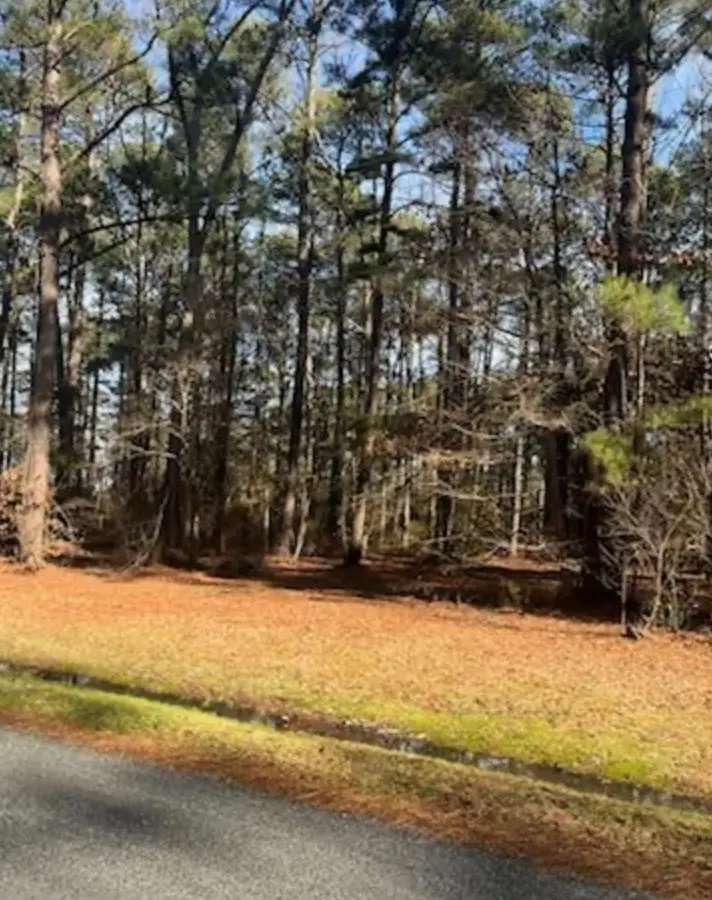 00 S Glebe Road, Cople, VA 22520 - #3