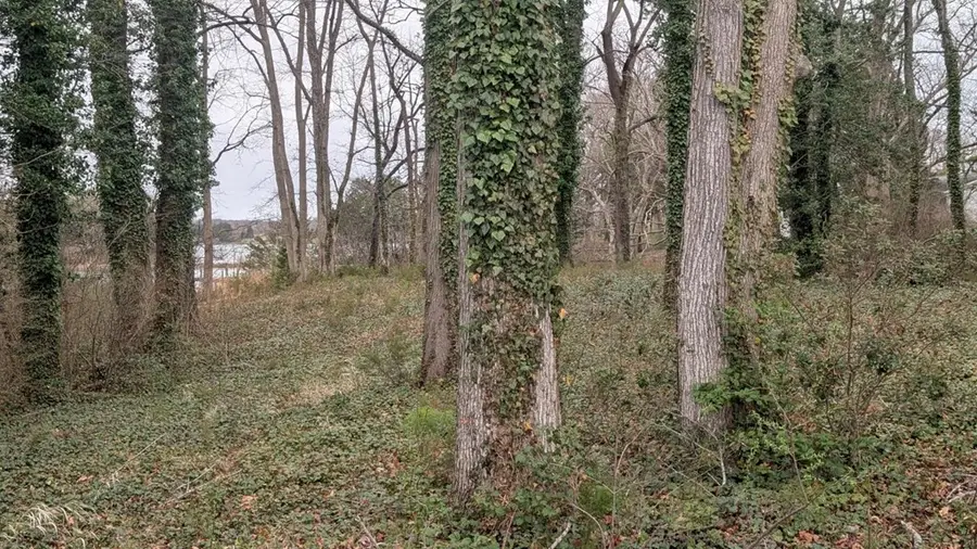 30Z Clubhouse Loop, Cople, VA 22520 - #3