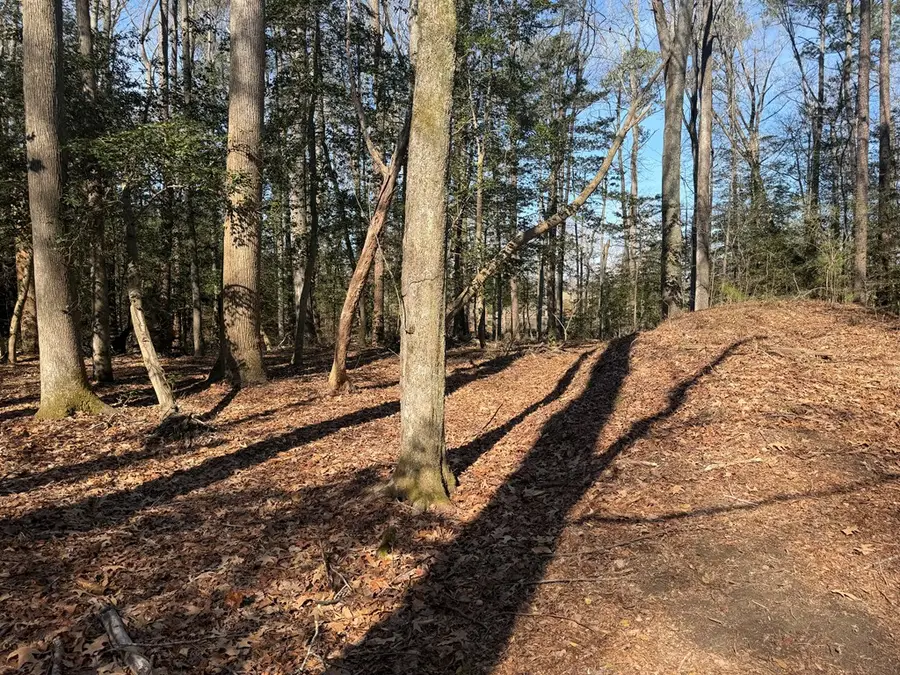 15 Cod Creek Drive, Heathsville, VA 22473 - #3