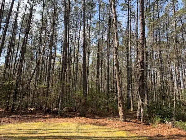 1007 Coopers Landing Drive, , VA 22473