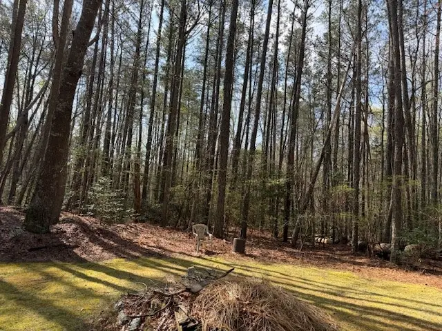 1007 Coopers Landing Drive, Horsehead, VA 22473 - #2