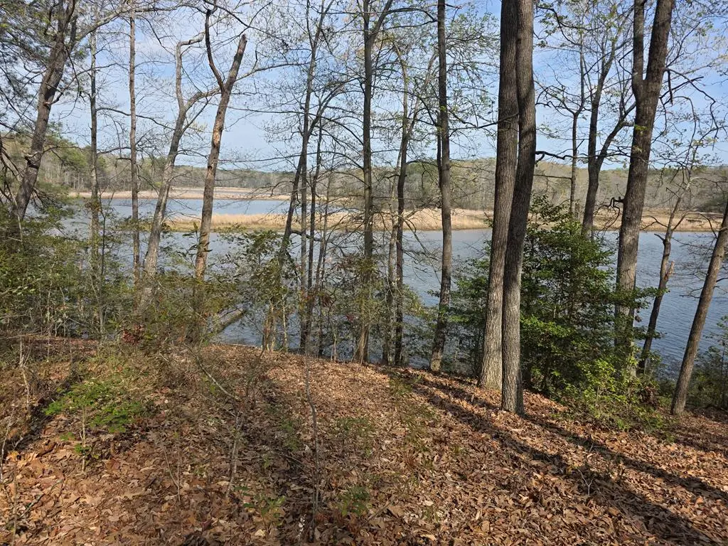 LOT 5 Richmond Hill Road, Warsaw, VA 22572 - #1