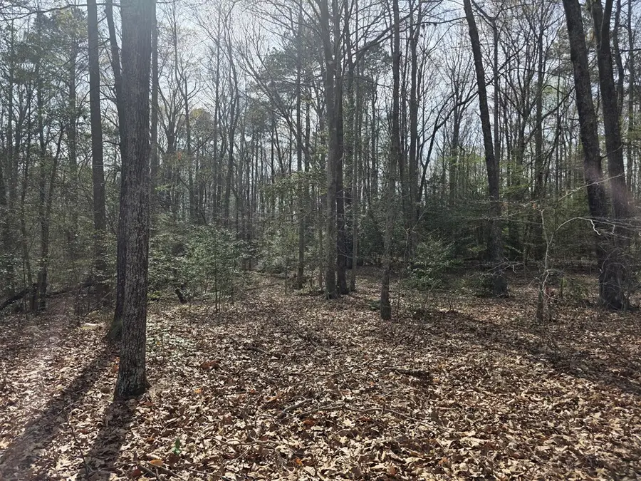 LOT 5 Richmond Hill Road, Warsaw, VA 22572 - #3