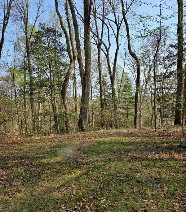 lot 124 Treasone Street, , VA 22520