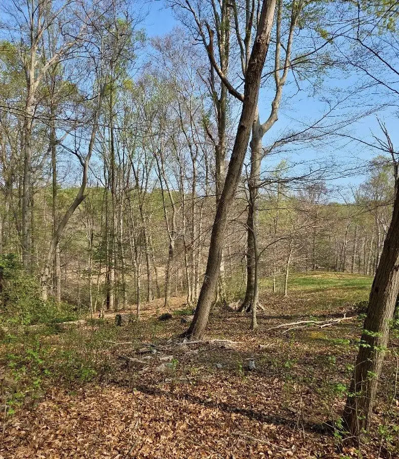 lot 124 Treasone Street, Montross, VA 22520 - #2