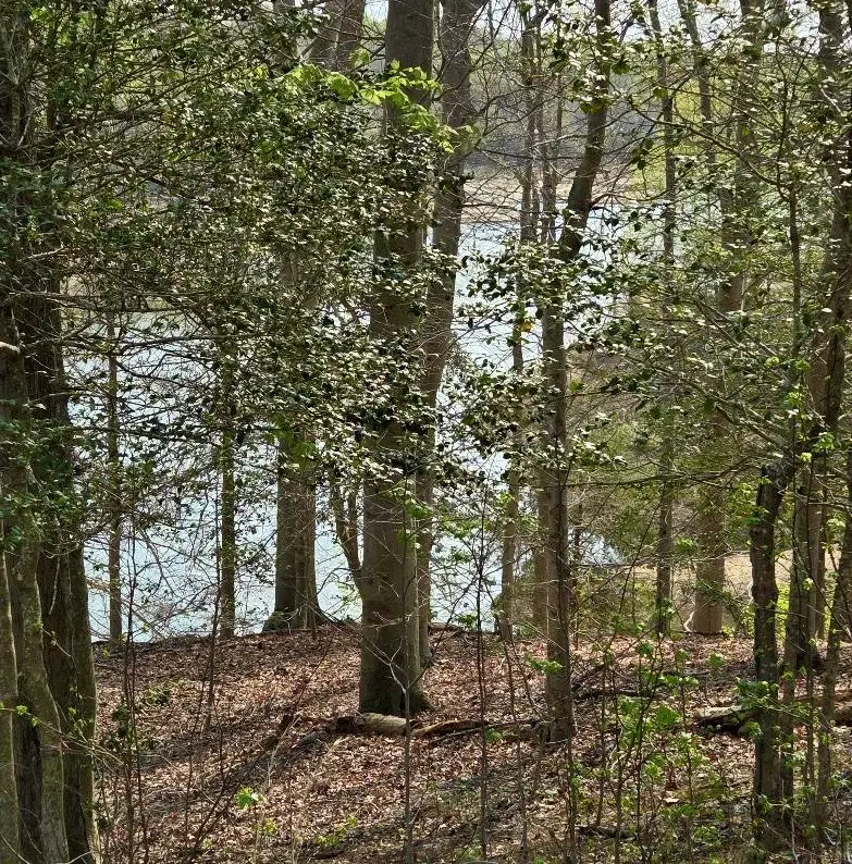 lot 124 Treasone Street, Montross, VA 22520 - #3