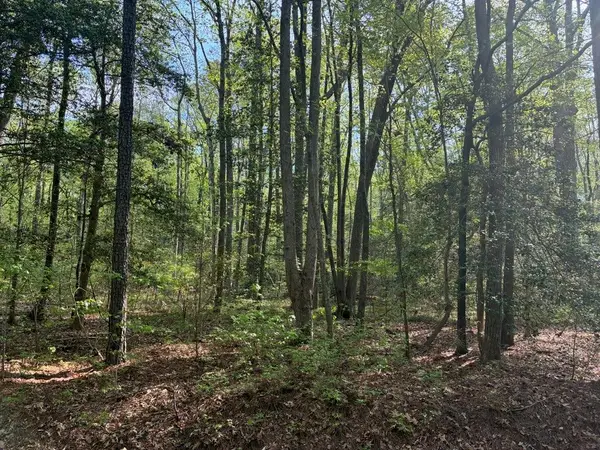 Lot 12 Cod Creek Drive, , VA 22473