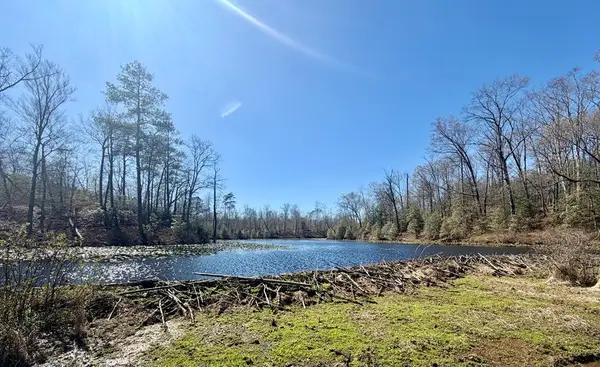 lot 17 Bull Neck Road, , VA 22436
