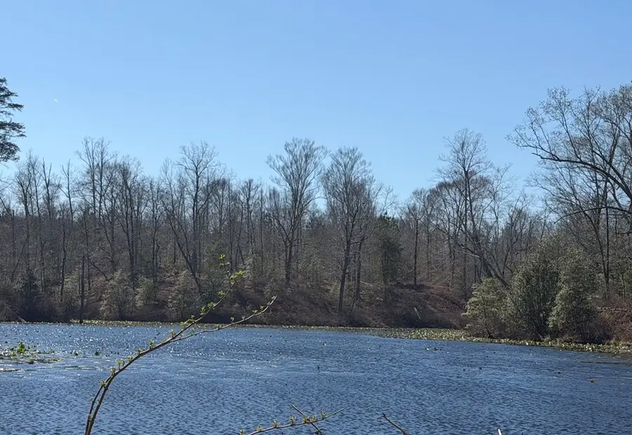 lot 17 Bull Neck Road, North, VA 22436 - #2