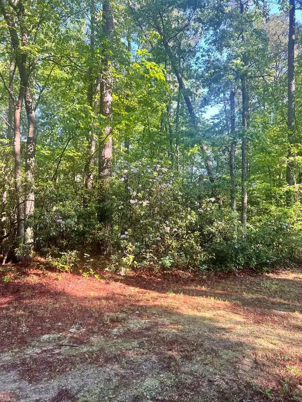 Lot 138 High Point Rd, , VA 22473