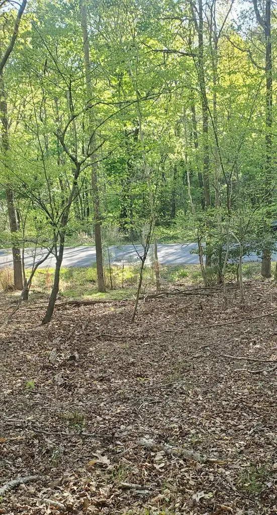 23B 22 N Independence Drive, Montross, VA 22520 - #1