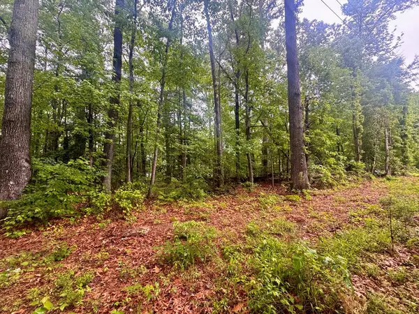 72-75 Henry Drive, , VA 22469