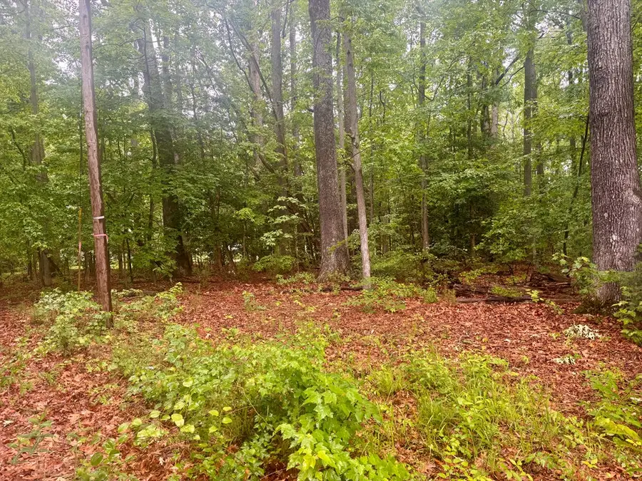 72-75 Henry Drive, Cople, VA 22469 - #2