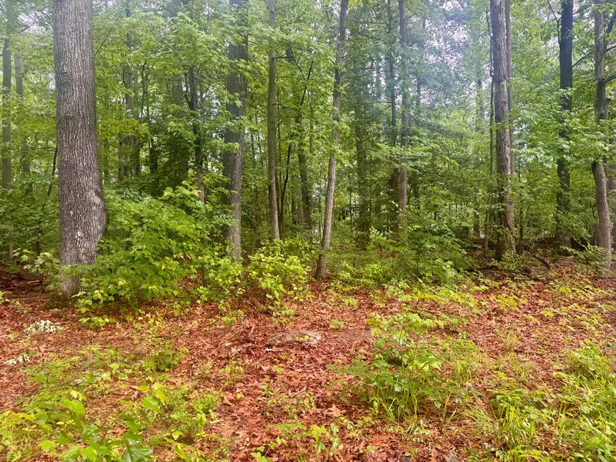 72-75 Henry Drive, Cople, VA 22469 - #3