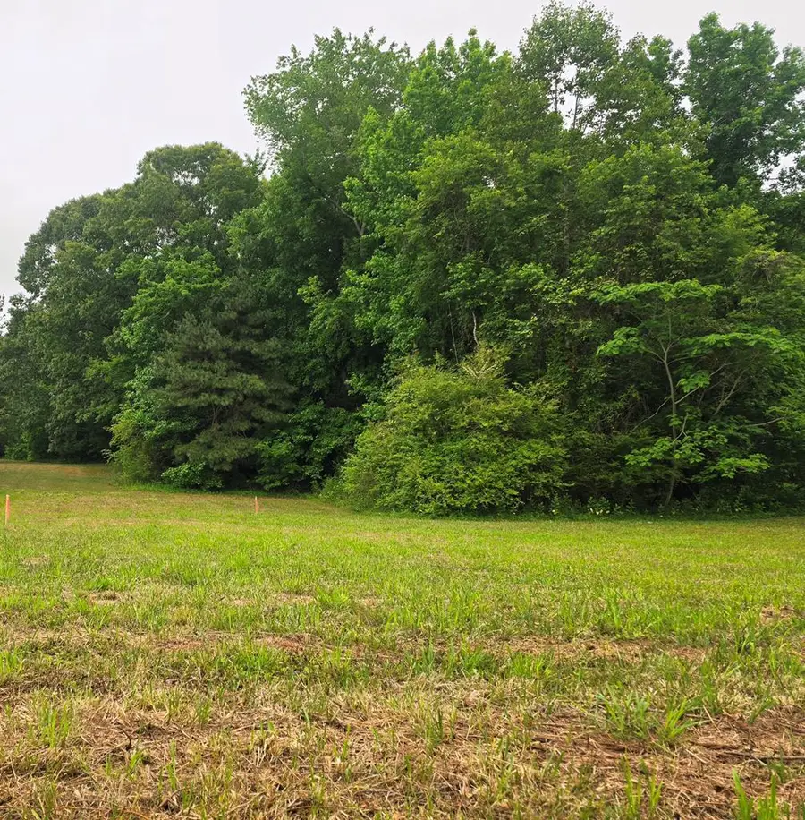 Lot 2 The Hook Road, Warsaw, VA 22572 - #2