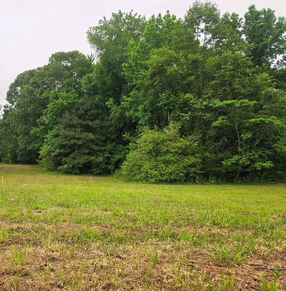 Lot 4 The Hook Road, Warsaw, VA 22572 - #1