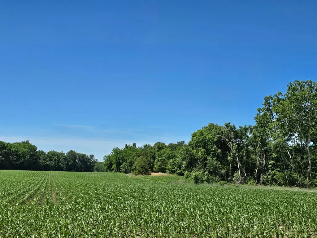 710 Pea Ridge Ln, Warsaw, VA 22572 - #1
