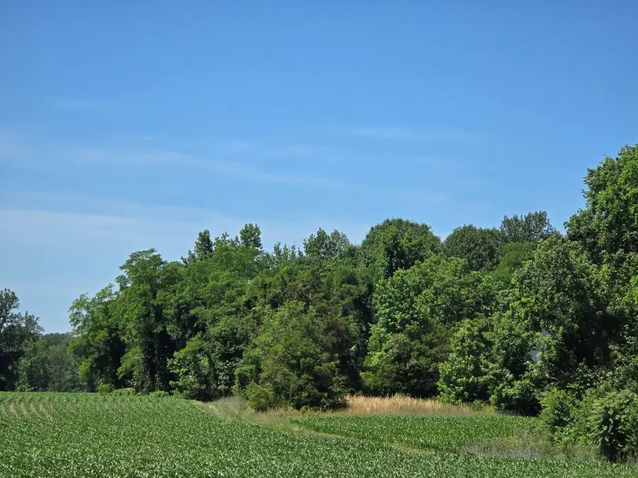 710 Pea Ridge Ln, Warsaw, VA 22572 - #2